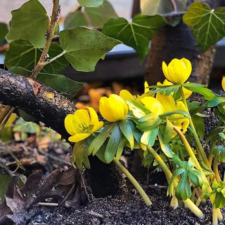 度假居 6 Person In 盖瑟